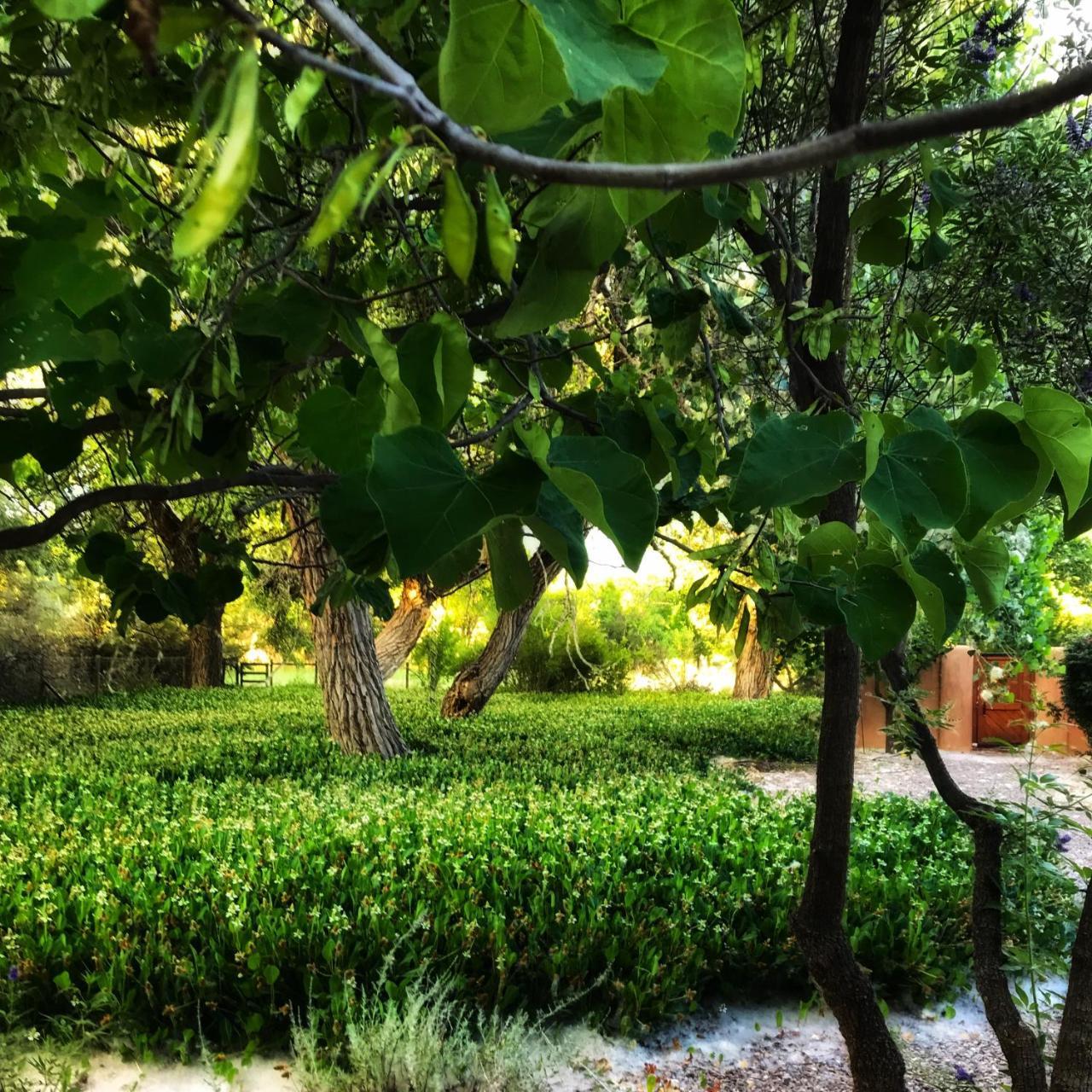 Morning Star Bed & Breakfast Of Corrales Екстер'єр фото